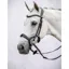 PS Of Sweden Pioneer Bridle - Black